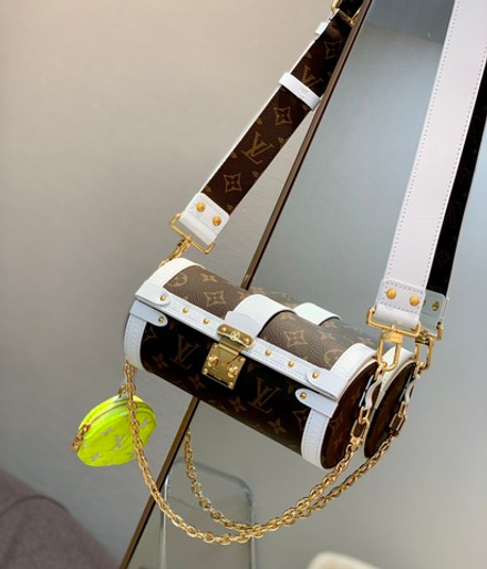 Louis Vuitton Papillon Trunk
