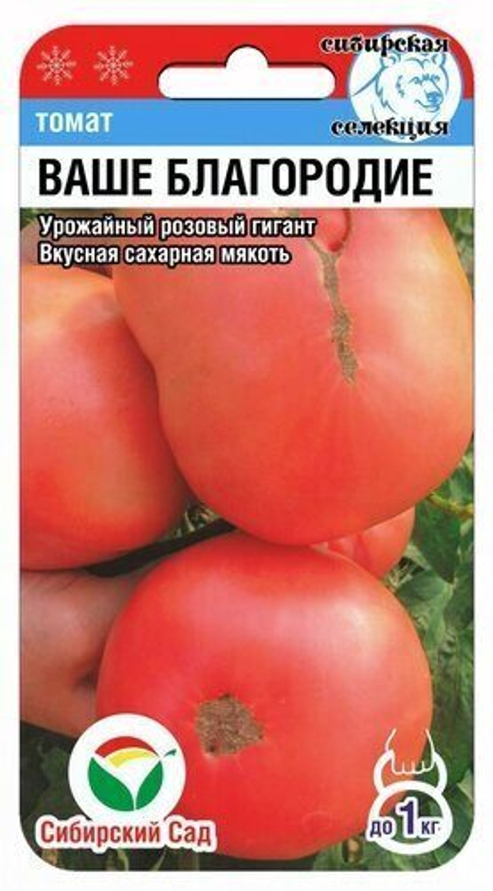 Томат Ваше благородие Сибсад