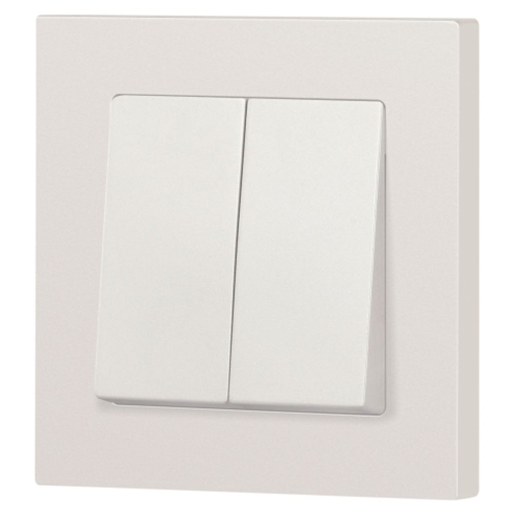 Переключатель Intro Accent 6-107-06 двойной, 10А-250В, IP20, СУ, AL/CU, перламутр