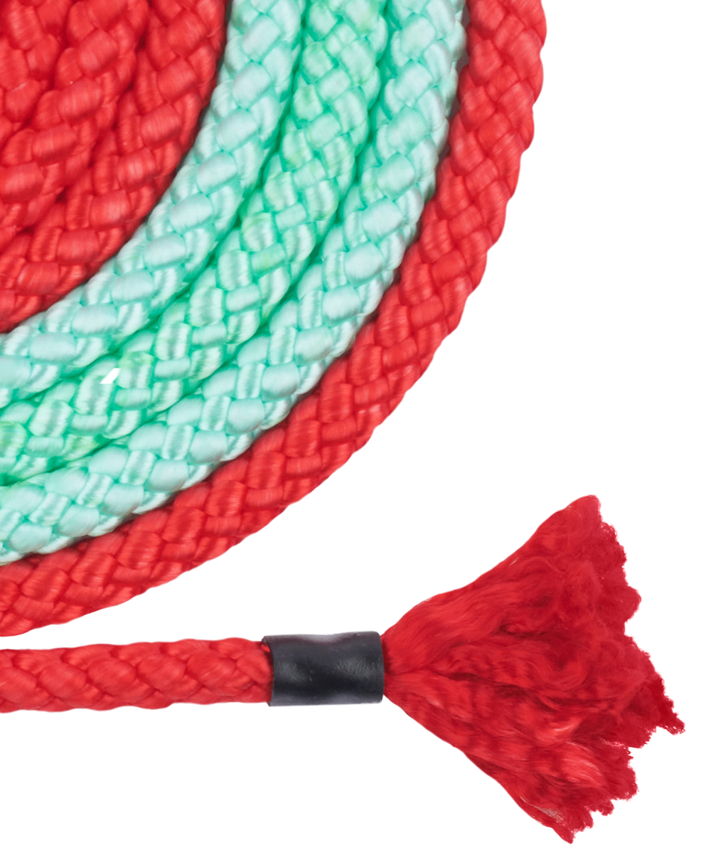 Нейлоновая скакалка для художественной гимнастики Cinderella Gradient Multicolor, 3м