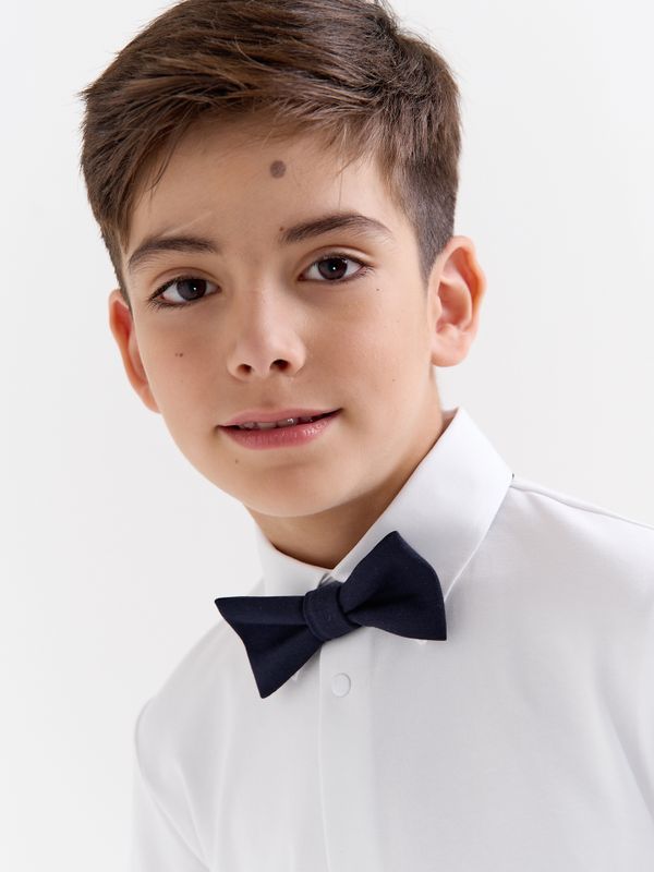 Галстук-бабочка 