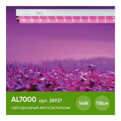 AL7000