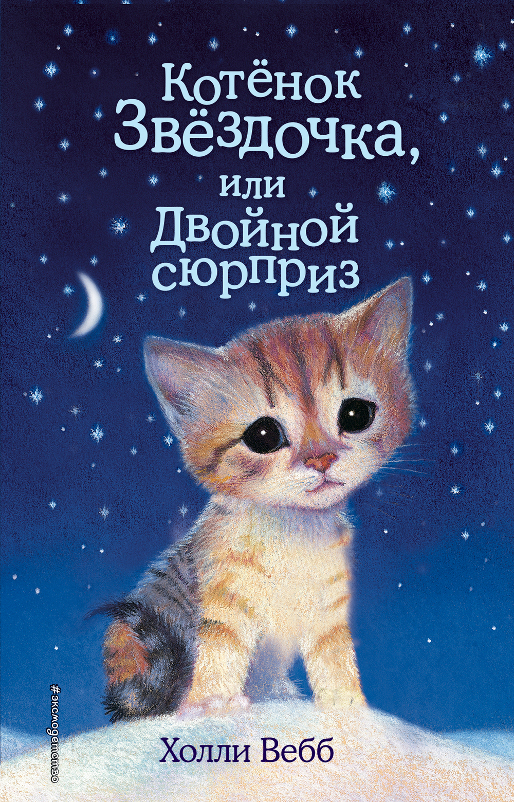 Котенок Звездочка, или Двойной сюрприз
