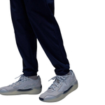 Баскетбольные штаны Jordan Sport Navy Blue Pants