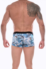 Трусы-боксеры с принтом в виде китов (Размер: L) (Цвет: голубой)