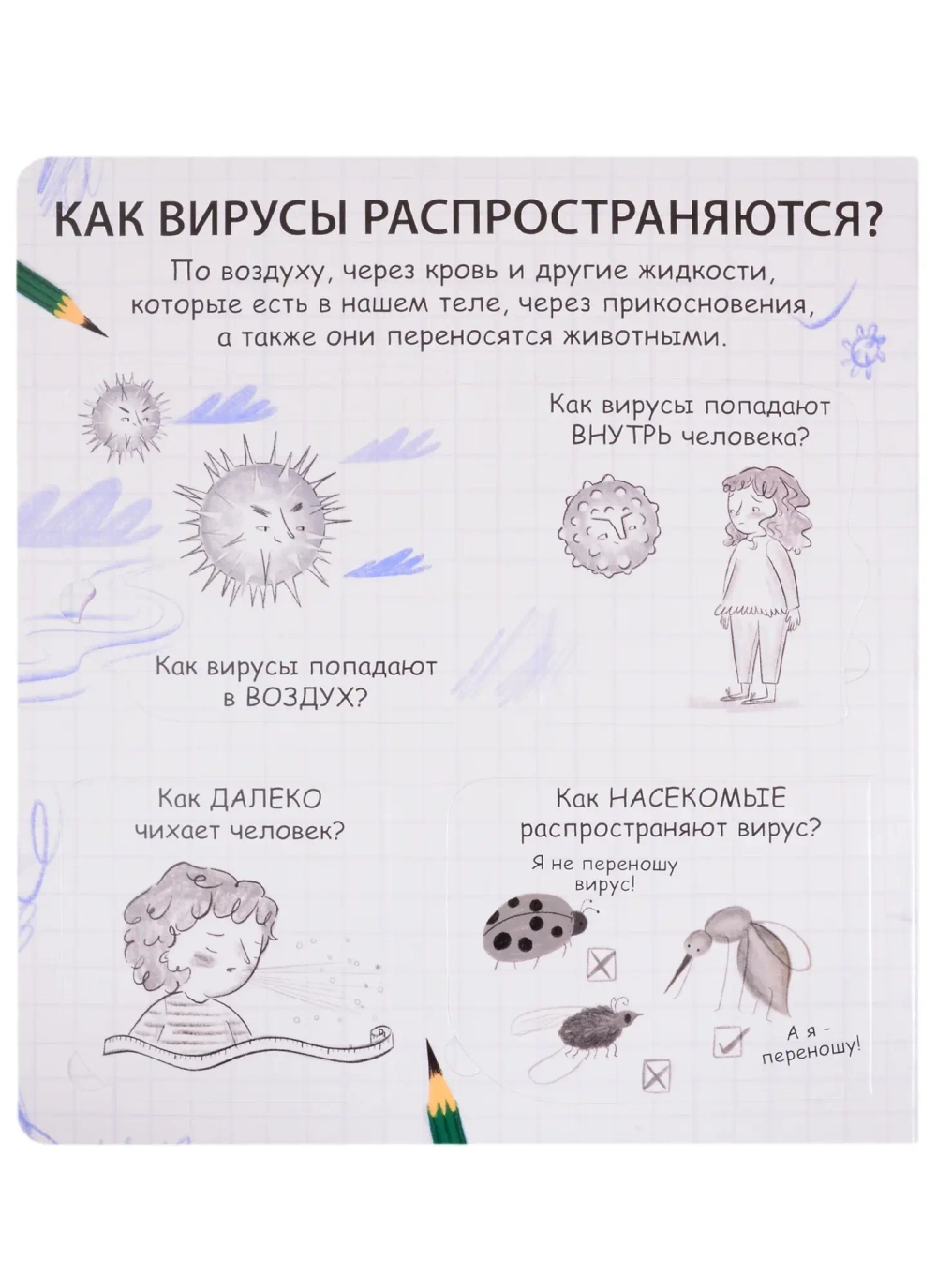 40 окошек. Что делать, чтобы быть здоровым