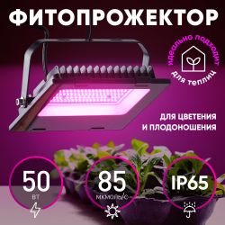 Фитопрожектор для растений светодиодный ЭРА FITO-50W-RB-LED для цветения и плодоношения красно-синего спектра 50 Вт