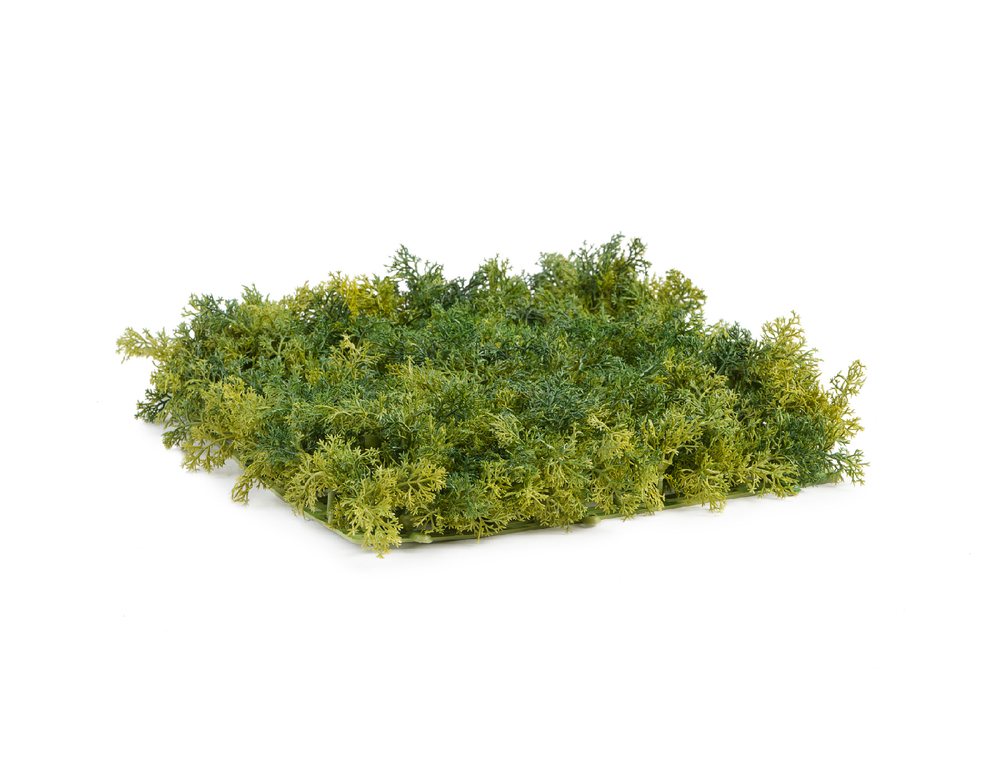 Мох Ягель зелёный микс (коврик)