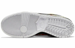 Кроссовки Nike Dunk Sb Heritage Pro Qs "Roswell Raygun"