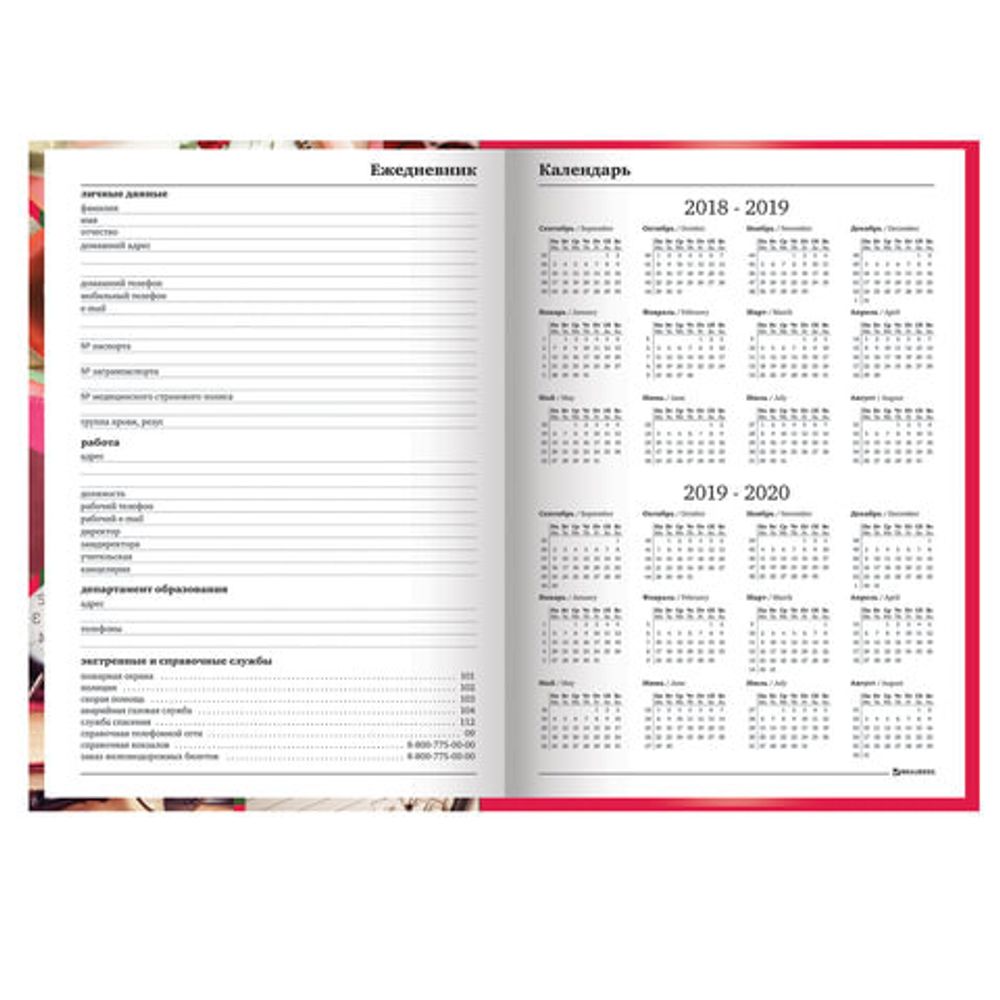 Ежедневник учителя специализированный А5 (215х145 мм), твердая обложка, 144 л., BRAUBERG, "АКСЕССУАРЫ", 129232