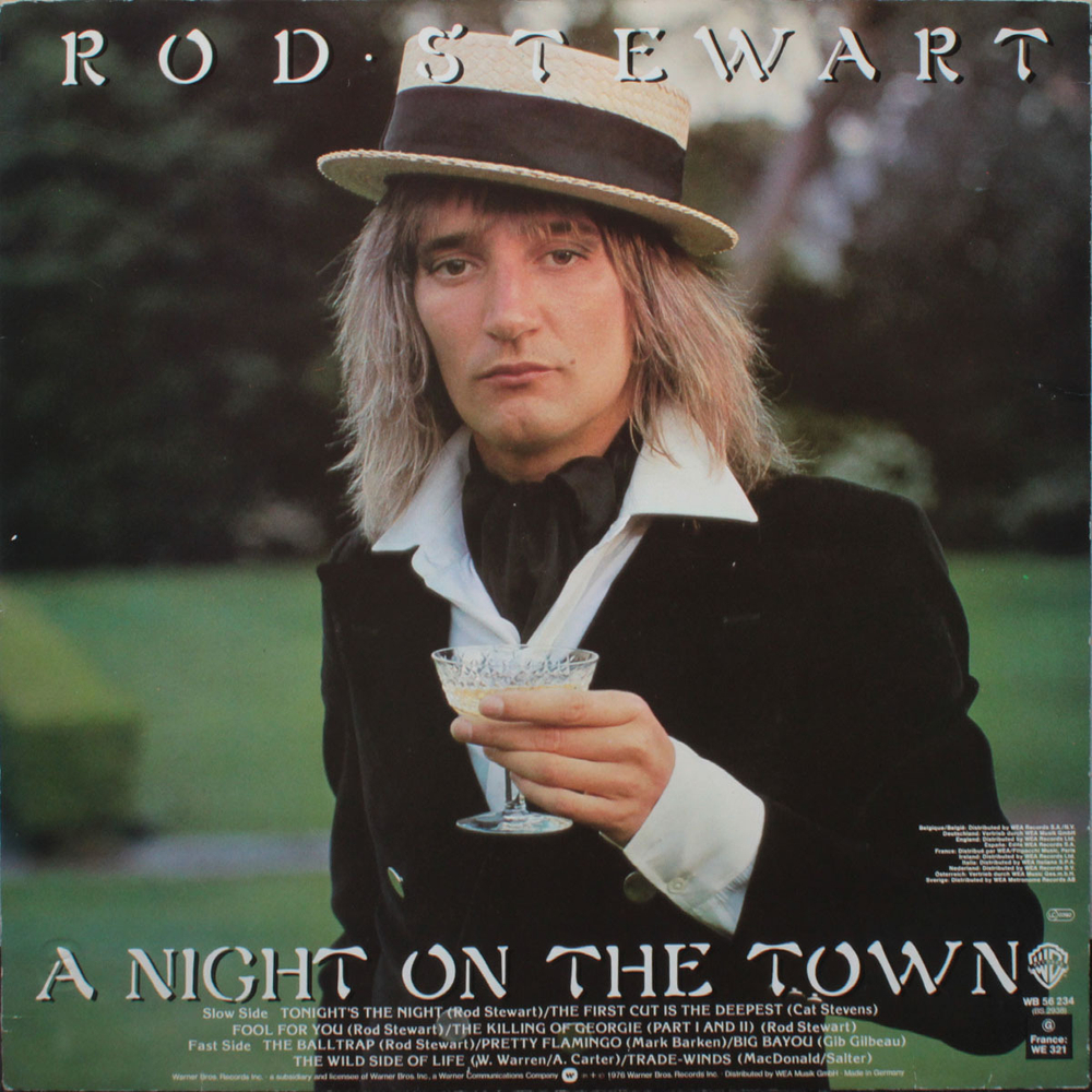 Rod Stewart / A Night On The Town (LP)
