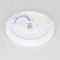 Потолочный светодиодный светильник Citilux Санта CL723330G