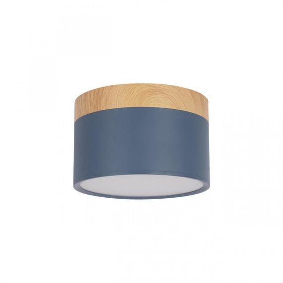 Накладной светодиодный светильник Loft IT Grape 10162 Blue