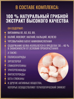 ГРЕБЕНЧАТЫЙ ЕЖОВИК №60, экстракт грибной