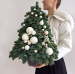 Композиция из живой хвои