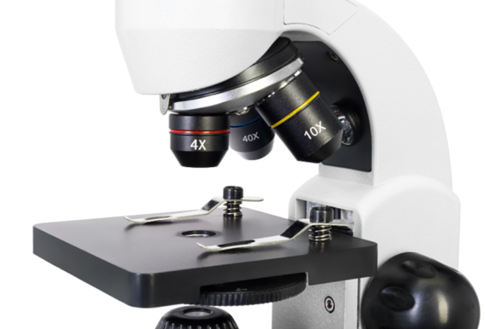 Микроскоп Levenhuk Rainbow D50L PLUS