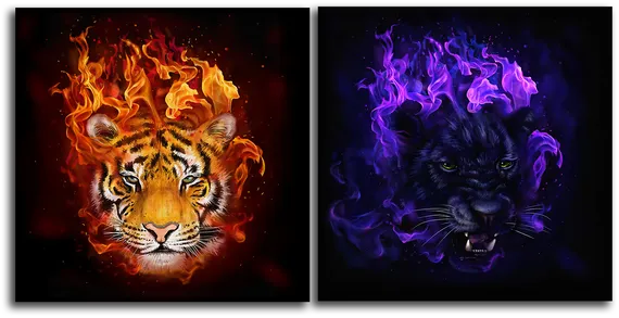 Модульная картина "Огонь и лед"