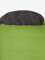 Спальный мешок пуховой BASK TREKKING V2 600+S серо-зеленый