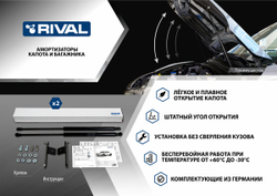 Газовые упоры капота Rival для Nissan X-Trail T32 2015-2018 2018-н.в., 2 шт., A.ST.4113.1