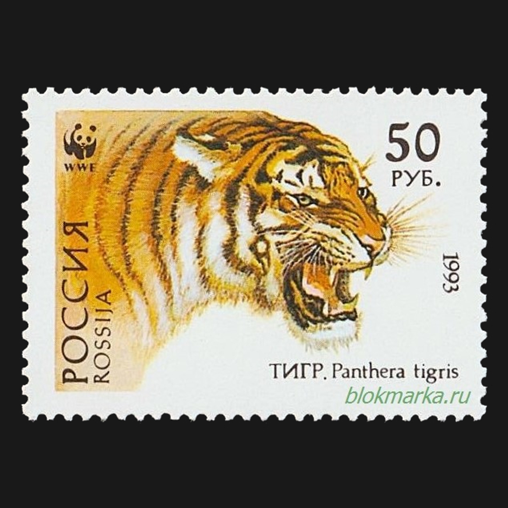 Россия 1993 г № 124-127 Серия Уссурийский тигр Чистая MNH **