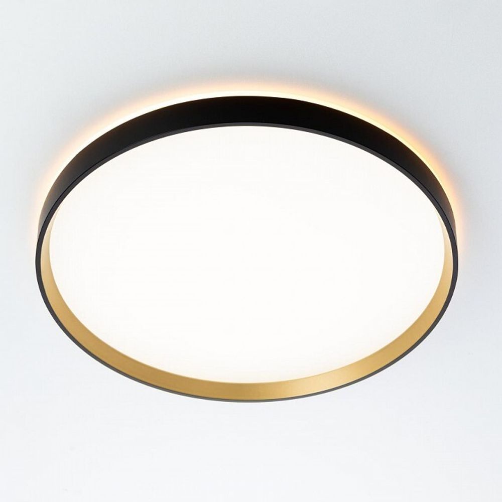 Накладной светильник Citilux ETALON CL750401R