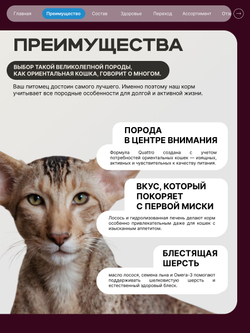 Корм сухой для взрослых кошек породы Ориентальная кошка, с лососем, 400 гр, QUATTRO