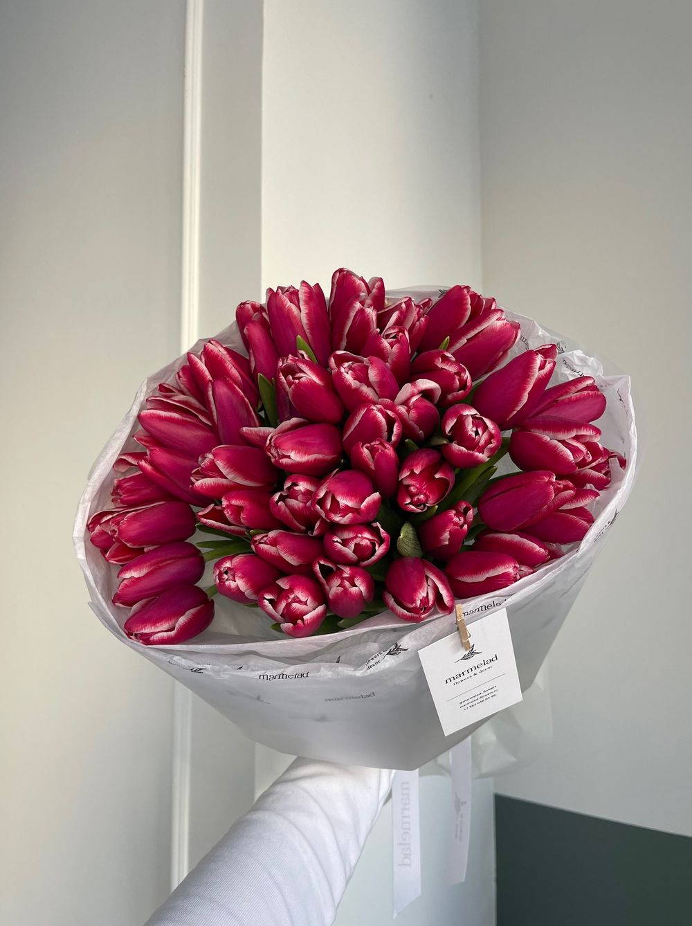 Букет из 51 малиново-белых тюльпанов - нет в наличии