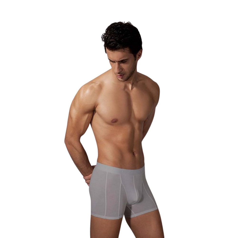 Немного удлинённые трусы-боксеры Doreanse Essential (Размер: XL) (Цвет: серый)