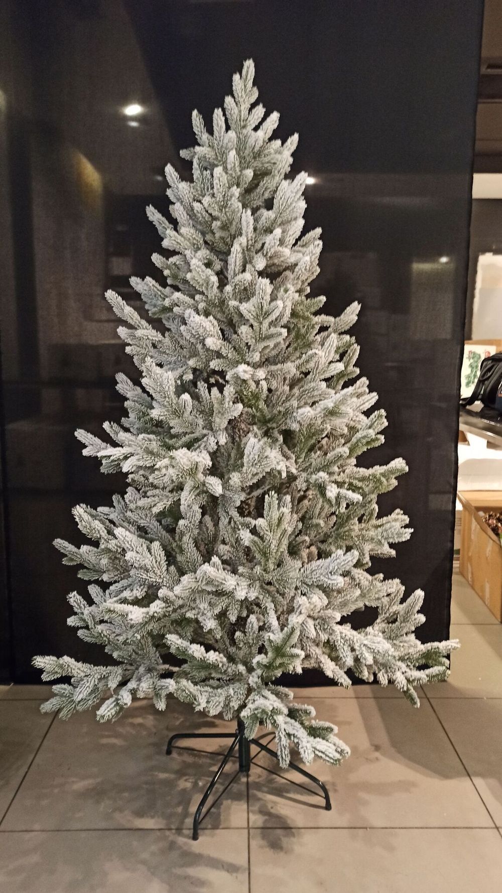 Ель Заснеженная «Нордман» (Литая хвоя) 210 см / 2.1 м