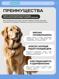 Корм для взрослых собак породы Золотистый ретривер, с кроликом, 12 кг, QUATTRO