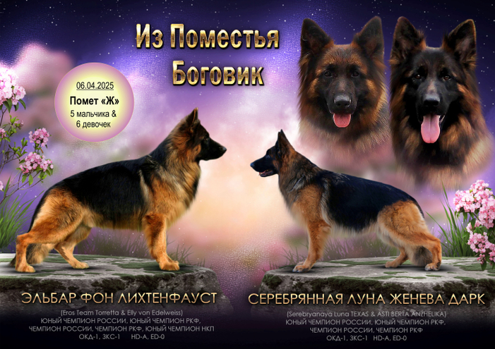 Помет "Ж"