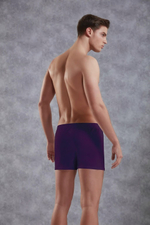 Хлопковые трусы-боксеры свободного покроя Doreanse Cotton Basic (Размер: L) (Цвет: фиолетовый)
