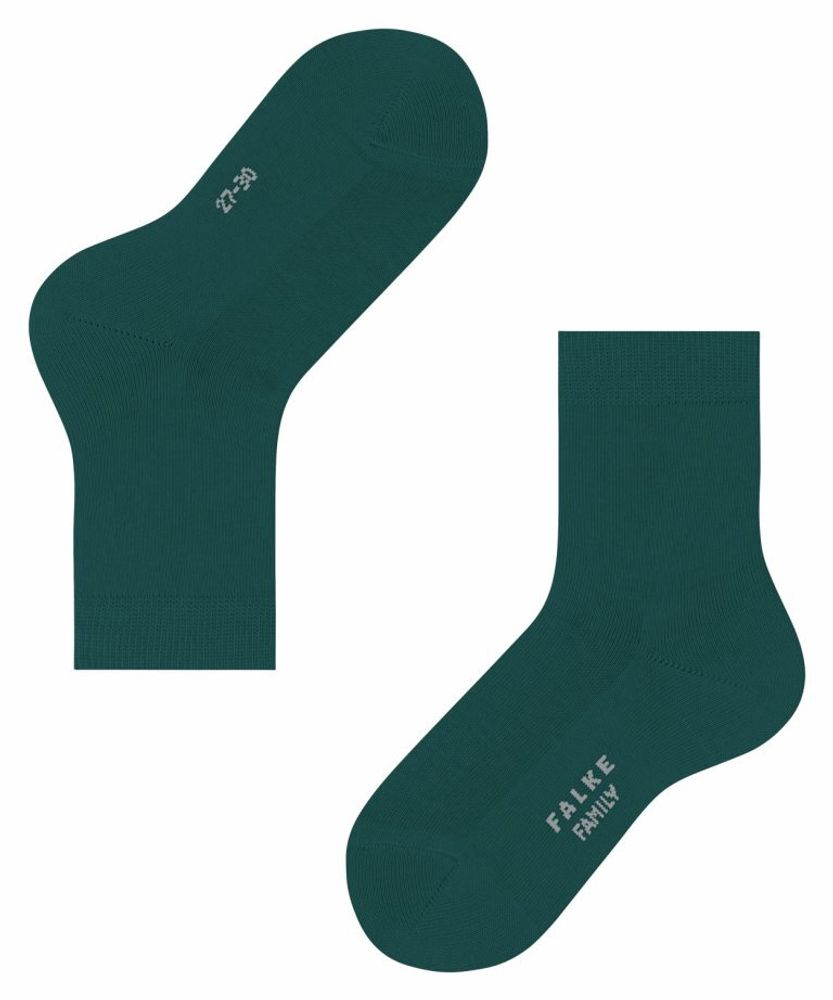 Носки Family FALKE 12998/7380