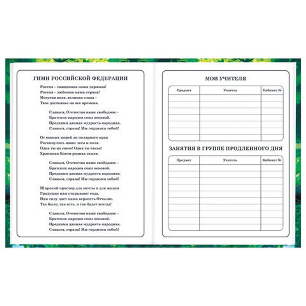 Дневник 1-4 класс 48 л., твердый, BRAUBERG, глянцевая ламинация, с подсказом, "Панда", 107158.