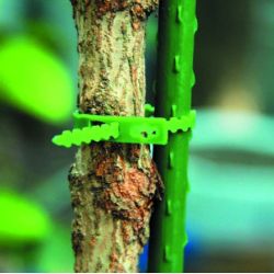 Подвязки для растений GREEN APPLE GTT-26 регулируемые 13 см | GREEN APPLE