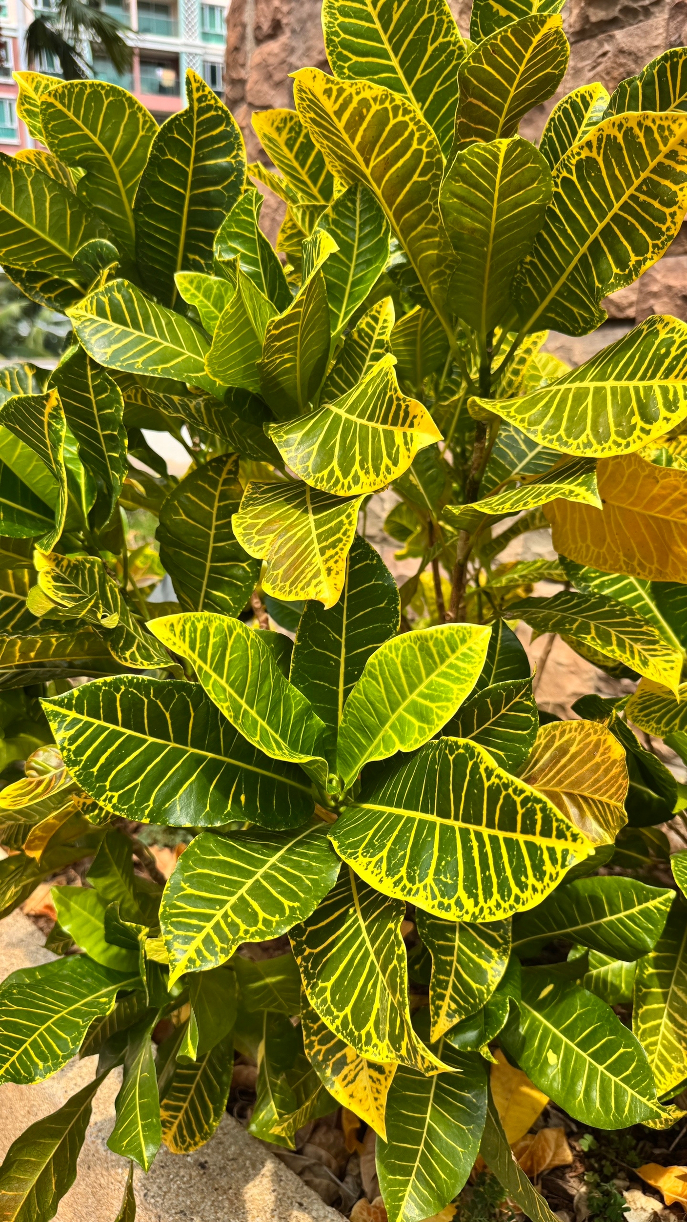 Майские поставки 2026