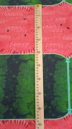 Кулир (купон). Арбузик (БРАК)