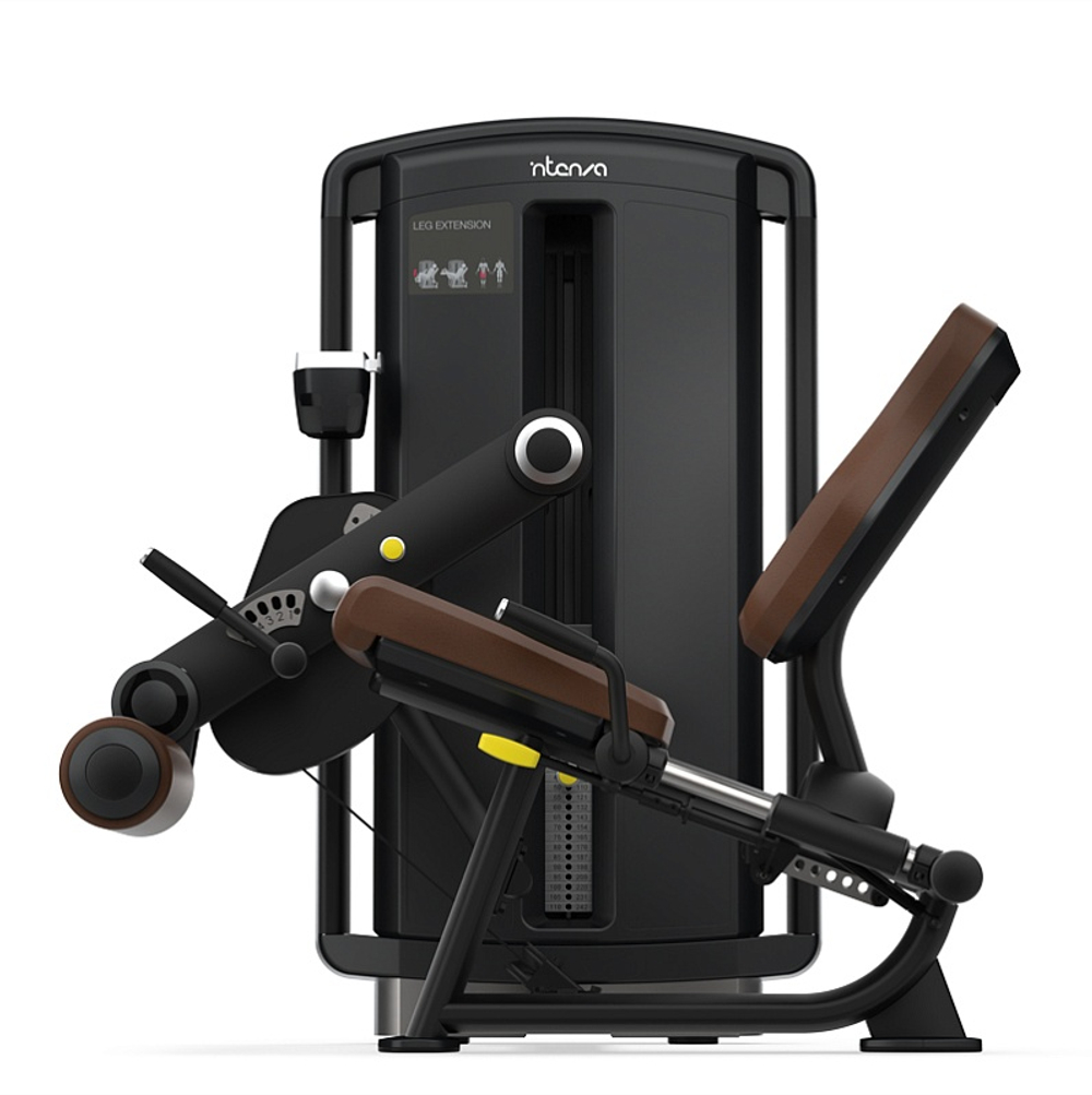 Разгибание ног INTENZA DEZIGN DL-09