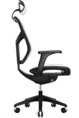 Кресло Expert VISTA VSM01-WH (сетка белая / каркас черн)