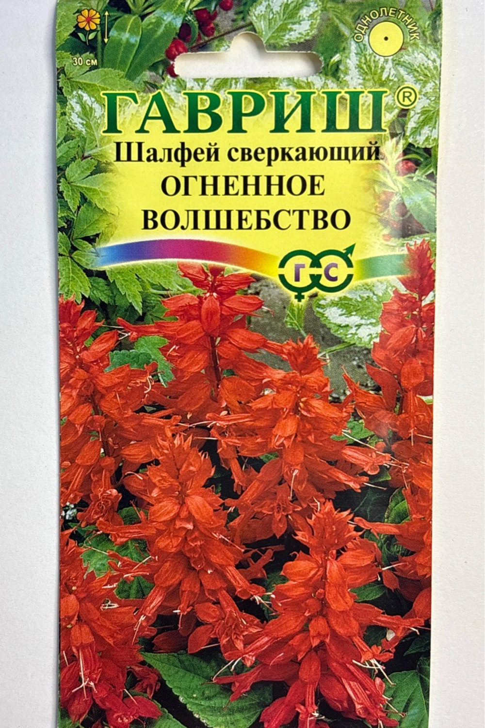 Сальвия (Шалфей ) Огненное волшебство  0,1 г СМЦ-757
