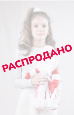 Сладкий новогодний подарок "Игрушка Дед Мороз 50см" 850гр