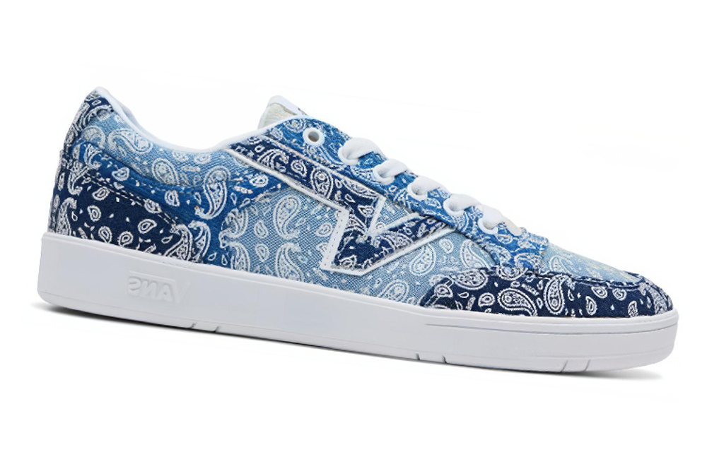 Vans Lowland Cc