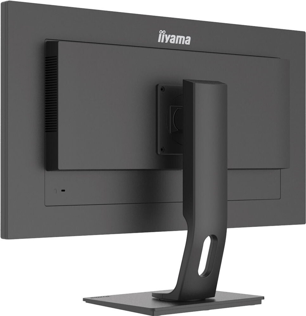 Монитор 28" Iiyama ProLite (XUB2893UHSU-B1)