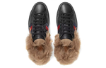 Gucci Ace