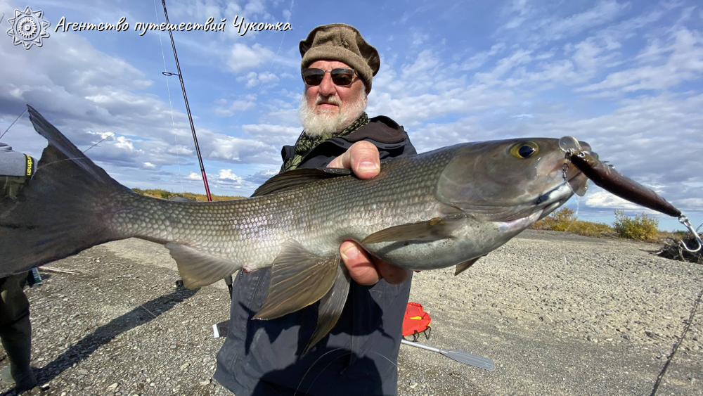Горы, тундра, море - "три Чукотки" в одном маршруте (заброска вертолётом МИ-8)