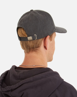 Кепка Anteater Baseball-Grey