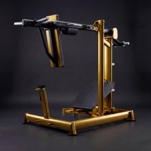 T916 Маятниковые приседания
