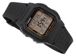 Наручные часы CASIO W-800HG-9A
