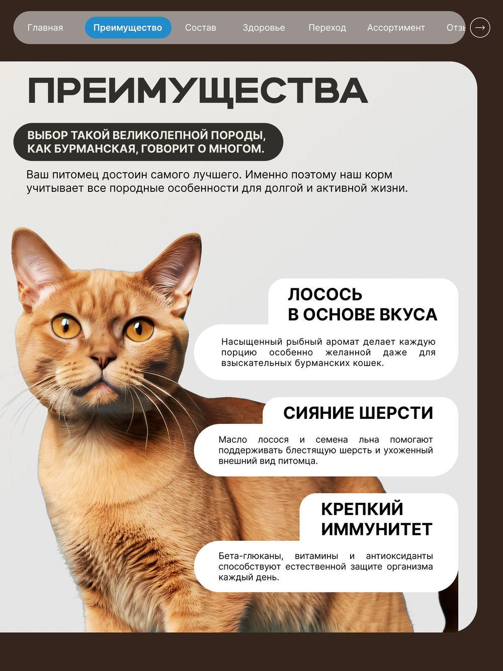 Корм сухой для взрослых кошек породы Бурманская, с лососем, 400 гр, QUATTRO
