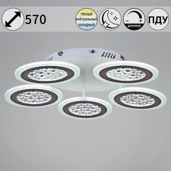 20491-0.3-05 WT светильник потолочный